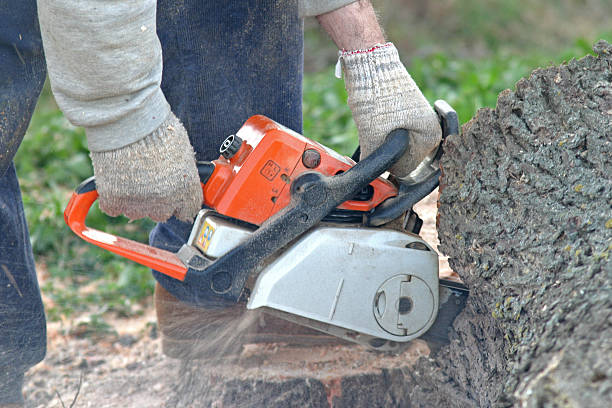 Seasonal Cleanup in Villas, NJ